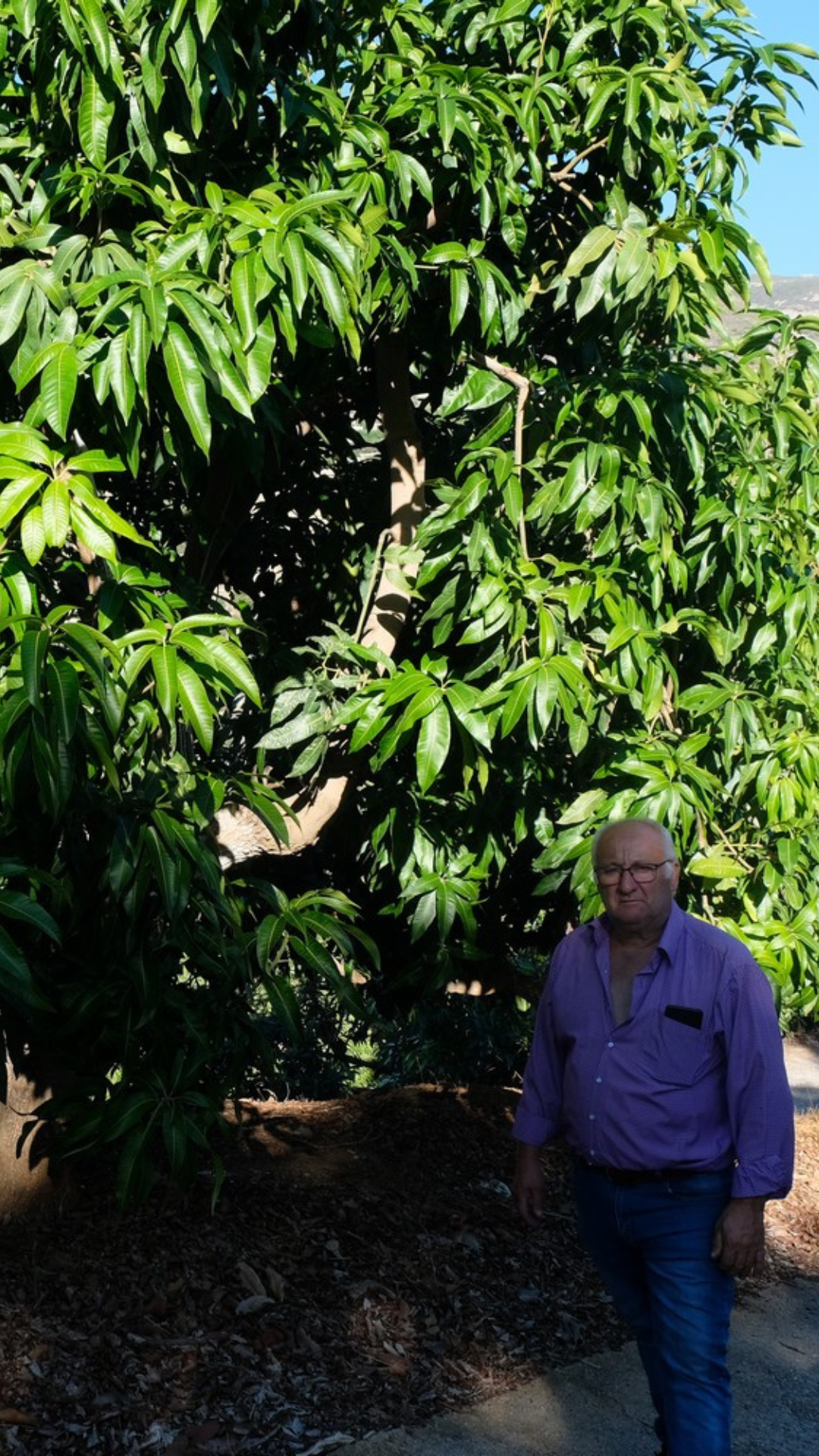 imagen de marino para finca las viñas imagen de marino para finca las viñas